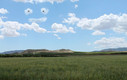 Primavera en Bullas