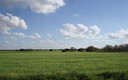 Mar de Castilla