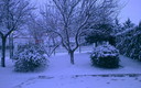 Frio polar en Motilla