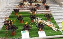 Semana de la flores en Girona.