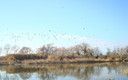 Delta de la Tordera