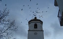 Iglesia de Chirivel