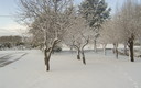 Nevada en Mezquita de Jarque