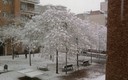 SABADELL NEVADA EN MARZO 2010