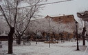 Pradillo nevado
