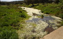Rio Pasaderas, Valle de Alcudia