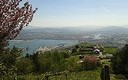 PRIMAVERA EN EL SERANTES
