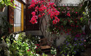 Patio primer premio del Concurso.
