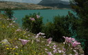 primavera en el pantano de Iznajar