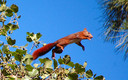 En pleno vuelo
