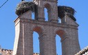 Alcalá de Henares es una ciudad de cigueñas