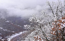 OTRA VEZ NIEVE EN LEON