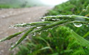 Camino de Bejes con Niebla