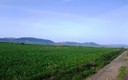 Paseo dominguero por Clavijo