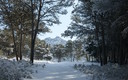 Nieve en Padul