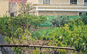 Nevando en Peñas de San Pedro