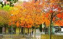 Otoño en la ciudad