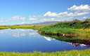 REFLEJOS