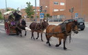 menudos carros