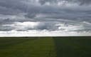 Paramo despues de la lluvia