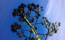 NATURALEZA.