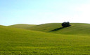 PRIMAVERA ADELANTADA