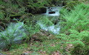 paseo al monte Corona ( 1386 m) 1ª parte