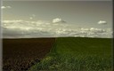Colores en los campos toledanos