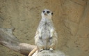 EN EL ZOO