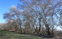 Paseo por el Soto