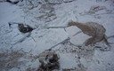 HIELO