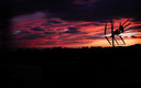 atardecer
