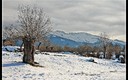 Nieve en el Soto de Revenga (Segovia)