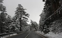 SUBIENDO AL PUERTO DE NAVACERRADA EL 17 DE MAYO