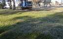 Césped universitario helado