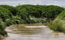 El Amazonas de la Mancha