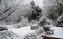 Valldossera