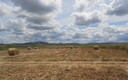 campo extremeño