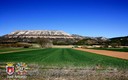 TIERRAS DE CALTOJAR (SORIA)
