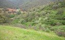 Bajada al Huéznar