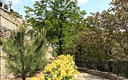 Primavera en el Ave María Casa Madre