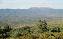 Valle de Nocito