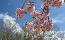 Bellezas naturales