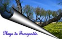 Sol de Primavera en Trengandín