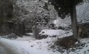 NIEVE EN  CAZORLA Y LA IRUELA