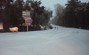 PASEANDO POR LA NIEVE