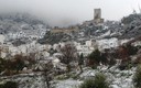 Nevada Cazorla