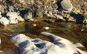 Ruta al Puente de CarlosV