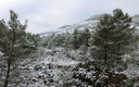 NEVADA EN CONFRIDES