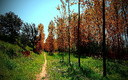 Por el sendero